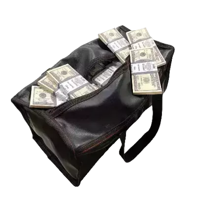 Сумки с прикольными наличными