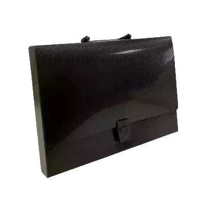 Портфель картотека