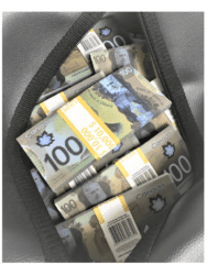 Сумка с деньгами 100 канадских дол