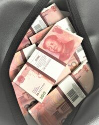 Сумка с деньгами 50 юаней