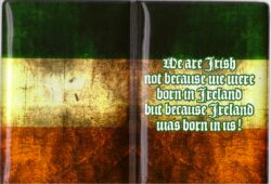 Обложка на паспорт "Ireland 21"