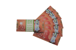 Сувенирные деньги 20 новых канадских долларов (новинка) - 80 банкнот