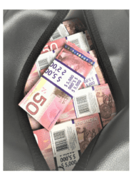 Сумка с деньгами 50 канадских дол