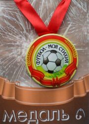 Медаль Футбол моя стихия (металл)