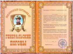 Сертификат на генеральские погоны ламинированный 5+0