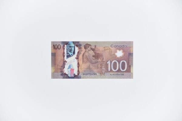 Сувенирные деньги 100 новых канадских долларов (новинка) - 80 банкнот