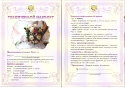 Свадебный диплом, Технический паспорт невесты ламинация 5+0