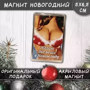 Магнит “Желаю две вещи в Новом году”