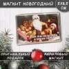 Магнит “Как ты вела себя в этом году?”, фото 1