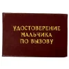 Шуточное удостоверение Мальчика по вызову, фото 1