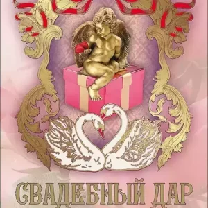 Свадебный диплом, Свадебный дар молодым супругам  (папка адресная 21 × 15 × 0,4 см)