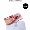 Конверт для денег «Божья коровка», фото 1