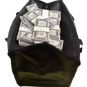 Сумка с деньгами 1000 долларов