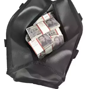 Сумка с деньгами 5000 йен