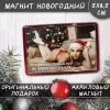 Магнит “Встретим Новый год по порно программе”, фото 1