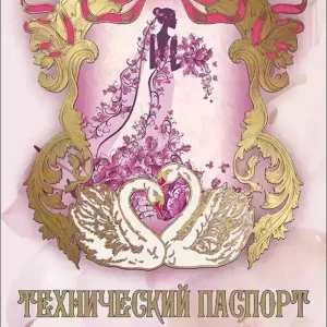 Свадебный диплом, Технический паспорт невесты  (папка адресная 21 × 15 × 0,4 см)