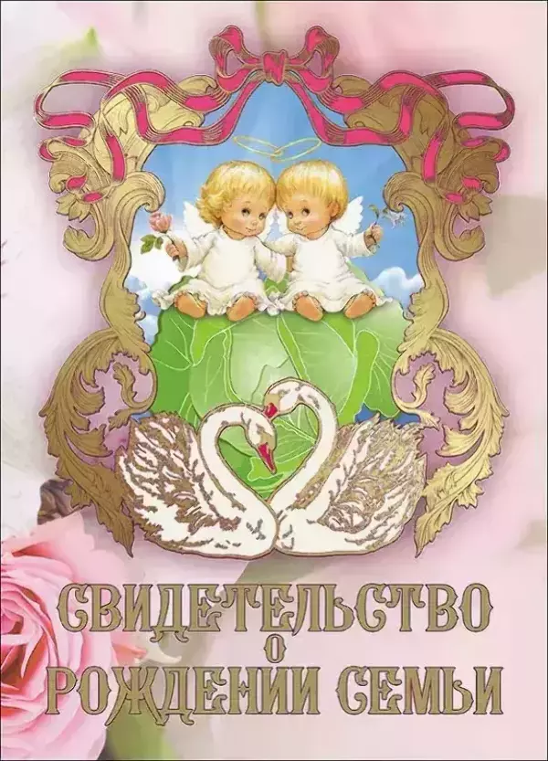 Свадебный диплом, Свидетельство о рождении семьи  (папка адресная 21 × 15 × 0,4 см)