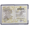 Диплом Замечательного сотрудника (папка адресная 15 × 11 × 0,4 см), фото 4