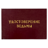 Удостоверение Ведьмы + Медаль За креативное мышление, фото 2